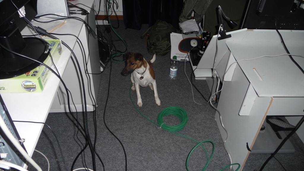 Buchenau 2012 (58).JPG